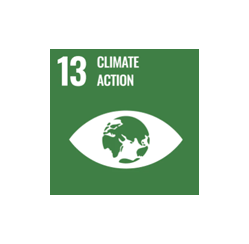 SDG 13 — Climate action
